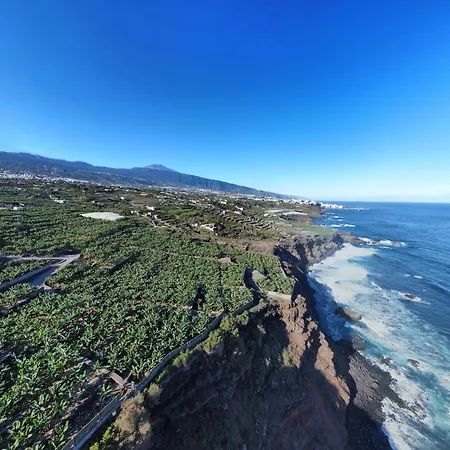 Papaya Paradise Villa